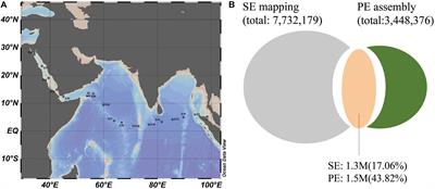 Metagenomic Analysis Reveals Microbial Community Structure and Metabolic Potential for Nitrogen Acquisition in the Oligotrophic Surface Water of the Indian Ocean